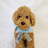 ウィズワン お名前入り うちの子 ボンボンチョーカー ぽんぽん アクセサリー 愛犬のお名前入り ハンドメイド 手作り 犬 猫 男の子 女の子 おしゃれ with WaN