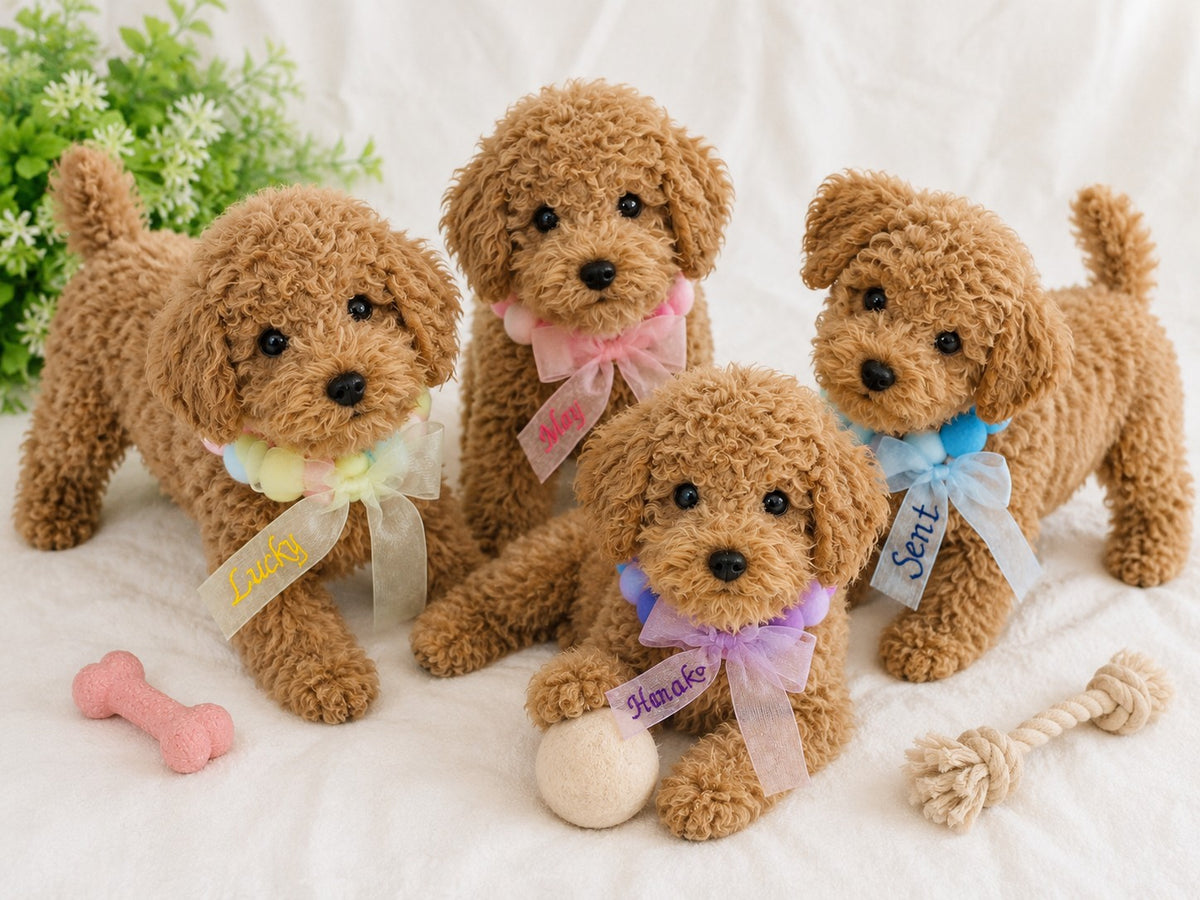 ウィズワン うちの子 名前入り ぽんぽんチョーカー アクセサリー ハンドメイド 犬 猫 男の子 女の子 おしゃれ with WaN