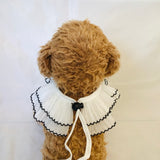 ウィズワン お名前入り うちの子スタイ つけ襟 ビブ アクセサリー 愛犬のお名前入り ハンドメイド 手作り 犬 猫 男の子 女の子 おしゃれ with WaN