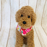 ウィズワン 保冷剤を入れるポケット付き ひんやり浴衣 祭 花火 犬の服 クール 介護 ハンドメイド 犬服 男の子 女の子 おしゃれ with WaN