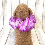 ウィズワン フラワーレイ 撮影小物 ハンドメイド アクセサリー 犬 ウエディング 誕生日 イベント コスプレ 猫 犬服 おしゃれ 男の子 女の子 with WaN