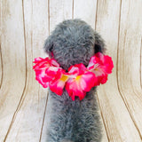 ウィズワン フラワーレイ 撮影小物 ハンドメイド アクセサリー 犬 ウエディング 誕生日 イベント コスプレ 猫 犬服 おしゃれ 男の子 女の子 with WaN