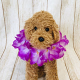 ウィズワン フラワーレイ 撮影小物 ハンドメイド アクセサリー 犬 ウエディング 誕生日 イベント コスプレ 猫 犬服 おしゃれ 男の子 女の子 with WaN