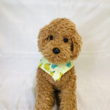 ウィズワン 保冷剤を入れるポケット付き ひんやりベスト 接触冷感 犬の服 クール 介護 ハンドメイド 犬服 男の子 女の子 おしゃれ with WaN