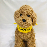 ウィズワン お名前入り ネッククーラー バンダナ うちの子 ハンドメイド 愛犬のお名前入り 犬 猫 クール 熱中症対策 男の子 女の子 おしゃれ with WaN