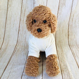 ウィズワン お名前入り Tシャツ うちの子  愛犬のお名前入り くま テディベア 犬服 男の子 女の子 おしゃれ with WaN
