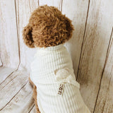 ウィズワン お名前入り Tシャツ うちの子  愛犬のお名前入り くま テディベア 犬服 男の子 女の子 おしゃれ with WaN