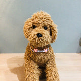 ウィズワン 愛犬のお名前入り うちの子 チョーカー ハンドメイド 手作り 犬 猫 男の子 女の子 おしゃれ with WaN
