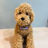 ウィズワン 愛犬のお名前入り うちの子 チョーカー ハンドメイド 手作り 犬 猫 男の子 女の子 おしゃれ with WaN