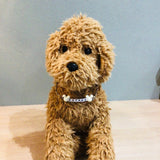 ウィズワン 愛犬のお名前入り うちの子 チョーカー ハンドメイド 手作り 犬 猫 男の子 女の子 おしゃれ with WaN