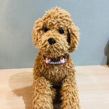 ウィズワン 愛犬のお名前入り うちの子 チョーカー ハンドメイド 手作り 犬 猫 男の子 女の子 おしゃれ with WaN