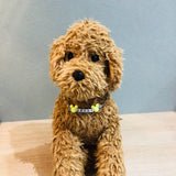 ウィズワン 愛犬のお名前入り うちの子 チョーカー ハンドメイド 手作り 犬 猫 男の子 女の子 おしゃれ with WaN