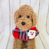 ウィズワン クリスマス マント ケープ ポンチョ イベント 犬 猫 犬服 男の子 女の子 おしゃれ with WaN