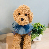 ウィズワン 愛犬のお名前入り うちの子 スタイ つけ襟 アクセサリー ハンドメイド 手作り 犬 猫 男の子 女の子 おしゃれ with WaN