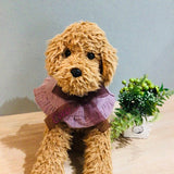 ウィズワン お名前入り うちの子スタイ つけ襟 ビブ アクセサリー 愛犬のお名前入り ハンドメイド 手作り 犬 猫 男の子 女の子 おしゃれ with WaN