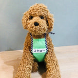 ウィズワン 愛犬のお名前入り おさんぽ エプロン 泥よけ 犬服 名入れ うちの子 男の子 女の子 おしゃれ with WaN