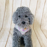 ウィズワン パジャマ 着る毛布 ベスト リバーシブル らくらく 簡単 ハンドメイド 秋冬 犬服 男の子 女の子 おしゃれ with WaN