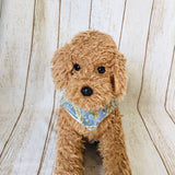 ウィズワン パジャマ 着る毛布 ベスト リバーシブル らくらく 簡単 ハンドメイド 秋冬 犬服 男の子 女の子 おしゃれ with WaN