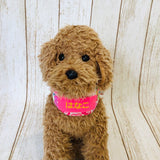 ウィズワン お名前入り ネッククーラー うちの子 和風 バンダナ ハンドメイド 愛犬のお名前入り 犬 猫 クール 熱中症対策 男の子 女の子 おしゃれ with WaN