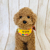 ウィズワン お名前入り ネッククーラー うちの子 和風 バンダナ ハンドメイド 愛犬のお名前入り 犬 猫 クール 熱中症対策 男の子 女の子 おしゃれ with WaN