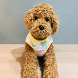 ウィズワン 愛犬のお名前入り 蝶々 ベスト 犬服 防寒 かわいい 背中開き 男の子 女の子 おしゃれ with WaN