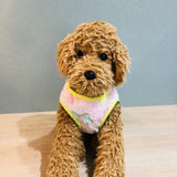 ウィズワン 愛犬のお名前入り 蝶々 ベスト 犬服 防寒 かわいい 背中開き 男の子 女の子 おしゃれ with WaN