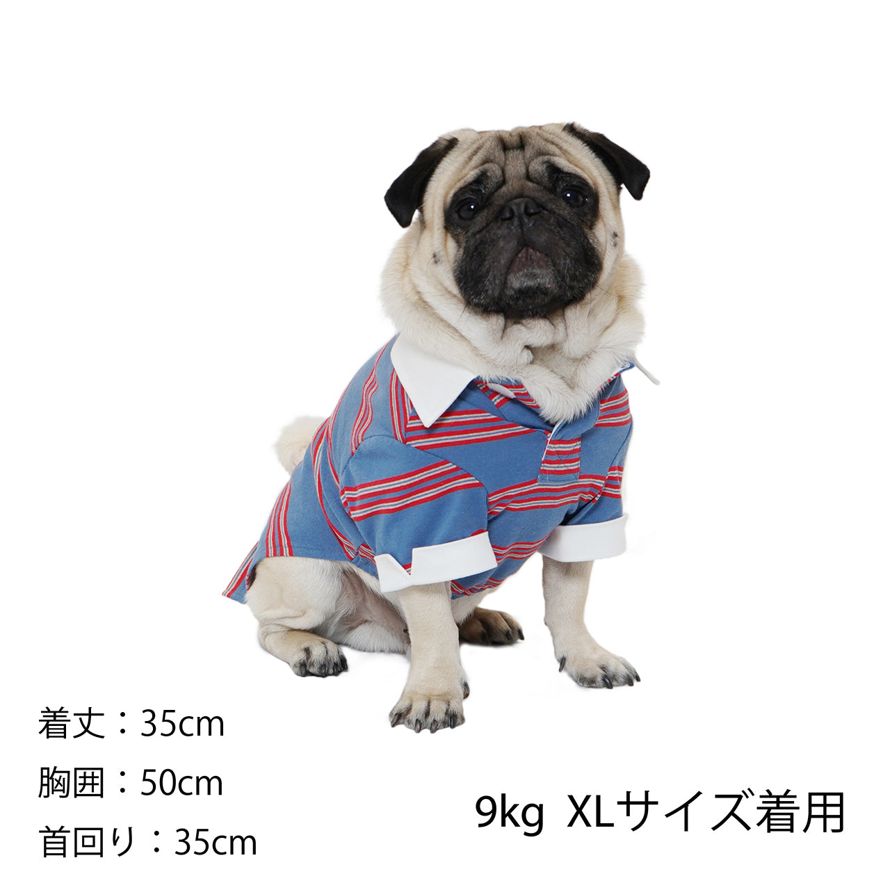 セール マンダリンブラザーズ ラガーシャツ XS パピー 超小型犬 ドッグウェア 犬服 男の子 女の子 おしゃれ MANDARINE BROTHERS