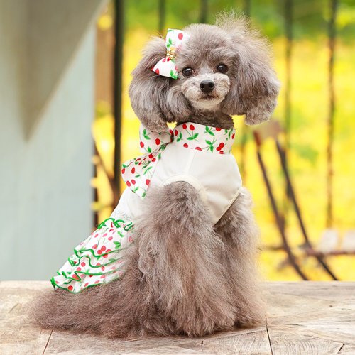 セール ゴッドピバ SUPER COOL 防虫 さくらんぼワンピース 犬服 女の子 おしゃれ クール 春夏 スカート GODPIVA メイン画像