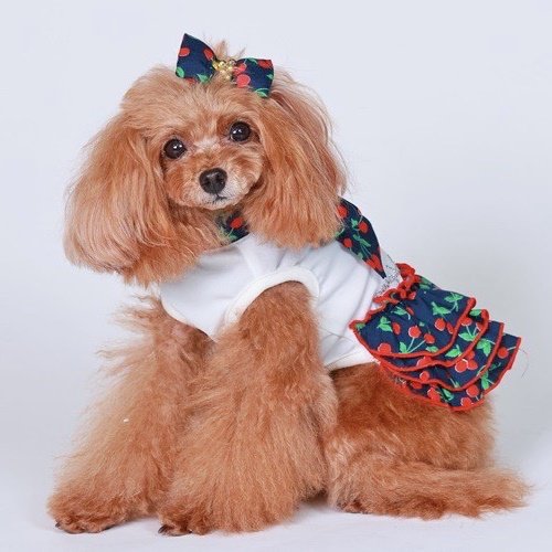 セール ゴッドピバ SUPER COOL 防虫 さくらんぼワンピース 犬服 女の子 おしゃれ クール 春夏 スカート GODPIVA