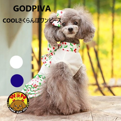 セール ゴッドピバ SUPER COOL 防虫 さくらんぼワンピース 犬服 女の子 おしゃれ クール 春夏 スカート GODPIVA サブ画像