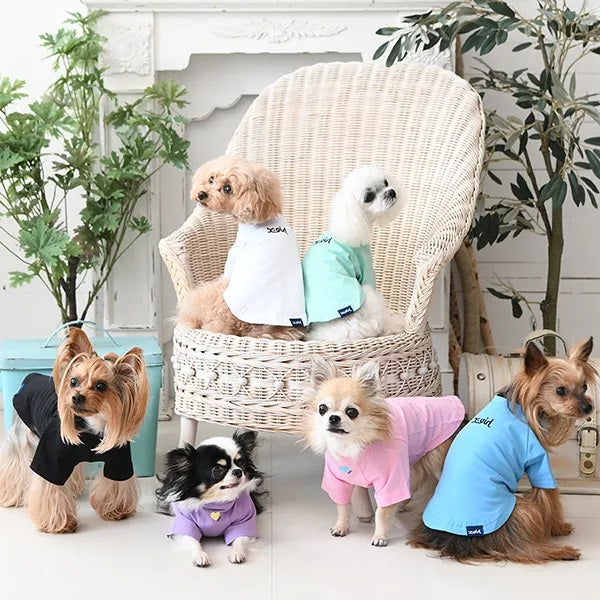 セール エックスガール 抗菌・防臭 オールシーズンTシャツ ドッグシャツ 犬服 男の子 女の子 おしゃれ X-girl メイン画像