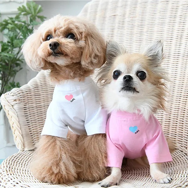 セール エックスガール 抗菌・防臭 オールシーズンTシャツ ドッグシャツ 犬服 男の子 女の子 おしゃれ X-girl サブ画像